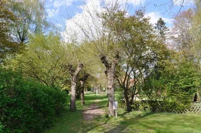 Ferienwohnung Suedpark Schneverdingen Exterior foto